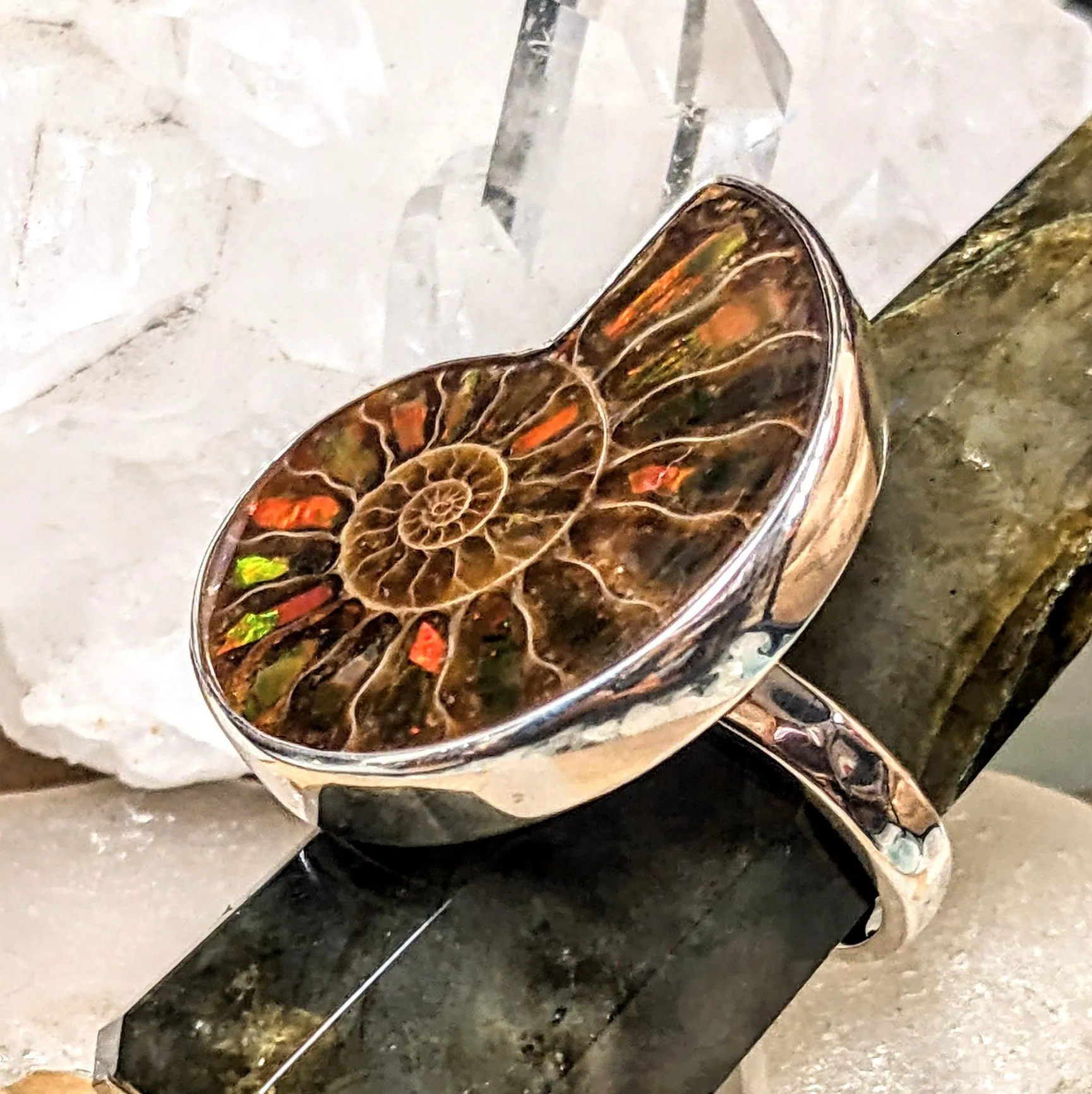 Ammonite with Ammolite inlay