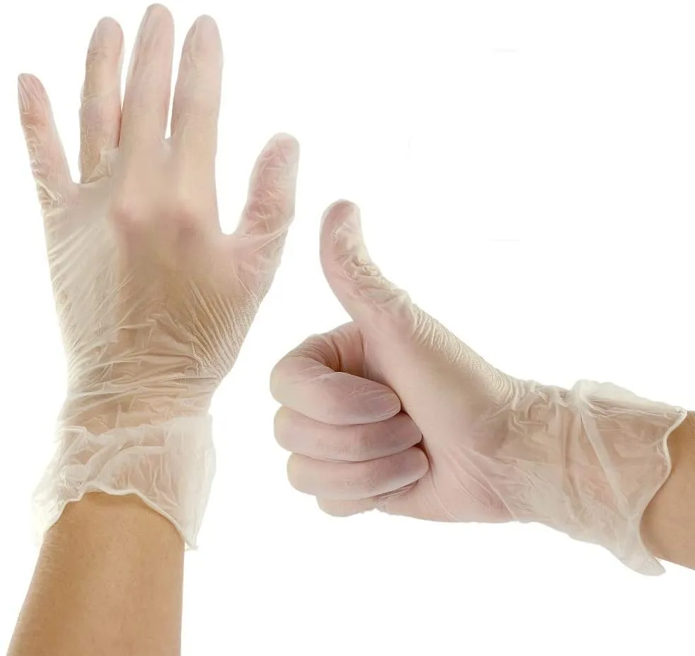 HandCare Vinyl Gloves - Exam Grade, Powder Free (Clear), 100 Cases (Bulk)