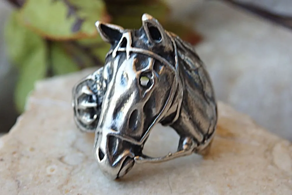 Horse ring