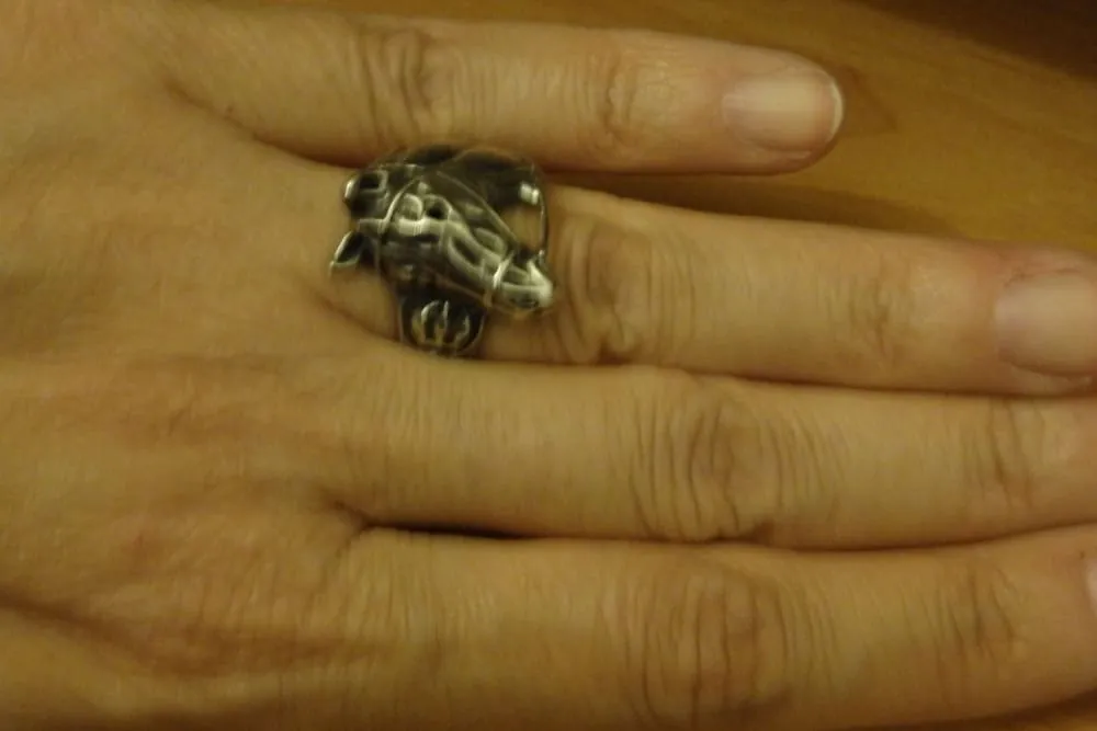 Horse ring