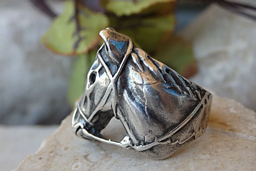 Horse ring