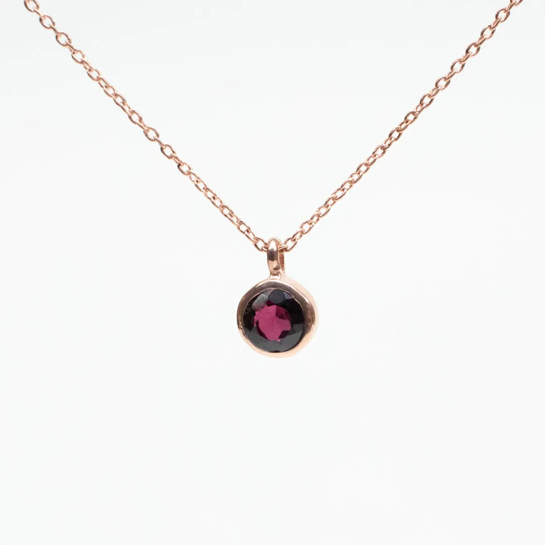 January Birthstone Necklace